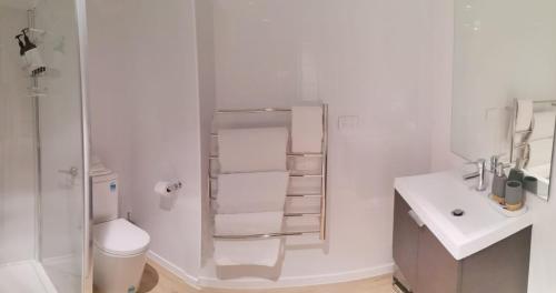 皇后镇Alex Apartment - 14A的带淋浴、卫生间和盥洗盆的浴室