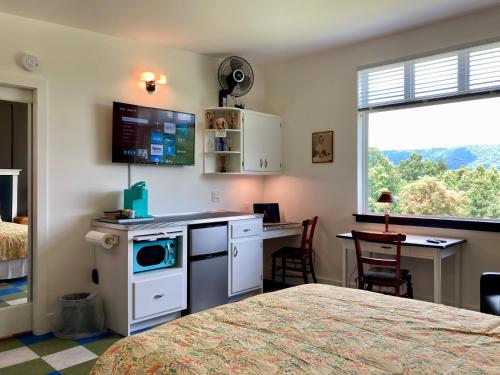 布莱克斯堡Eden's Echoes Country Retreat的一间卧室配有一张床和一张带微波炉的书桌