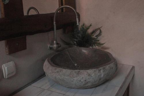 JembranaThe Asri Villas的浴室内带水龙头的石水槽