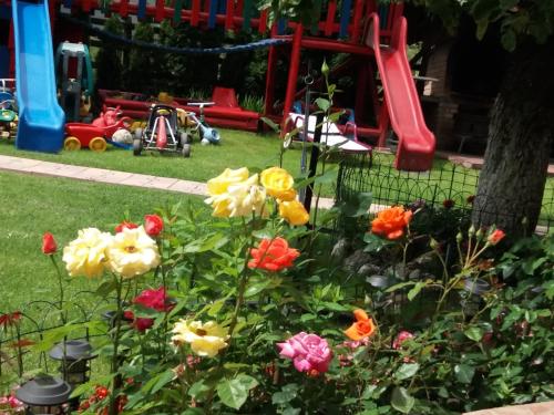布朗Vila Deni的游乐场前种满鲜花的花园