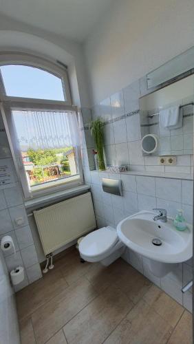 爱尔福特Ferienwohnung Döring的一间带卫生间和水槽的浴室