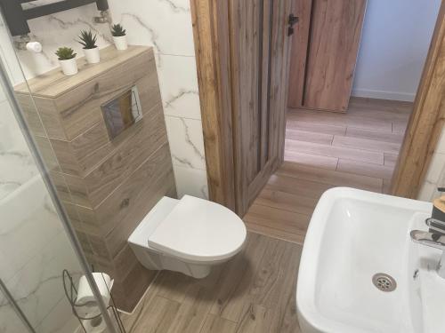 奇普Urocze Apartamenty LOFT przy Molo的浴室配有白色卫生间和盥洗盆。