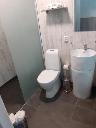 艾菲约德Adventure hotel & GuestHouse Eidfjord NEW的一间带卫生间和水槽的浴室