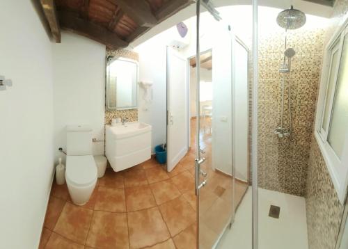 弗龙特拉Loft Con Encanto的一间带卫生间和玻璃淋浴间的浴室
