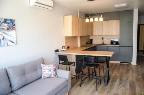 尤日内Kokos Avenue Loft Apartments的带沙发的客厅和厨房