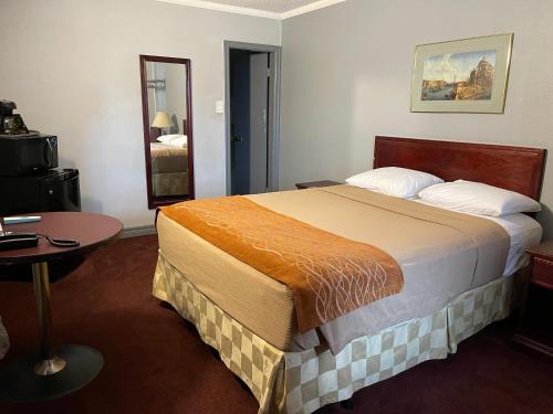 鲍曼维尔自由汽车旅馆的酒店客房设有一张大床和一张桌子。