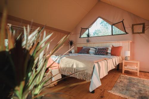 LeplyavoGlamping Mandra Kanev的一间带床的卧室,位于带窗户的房间内