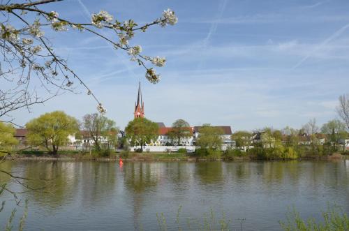 Hotel Restaurant Zum Schiffchen picture 1