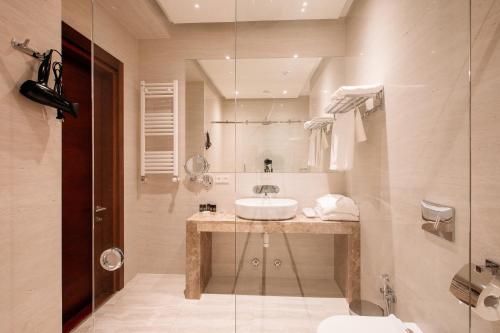 第比利斯Hotel Tbilisi Tower的一间带水槽和玻璃淋浴的浴室