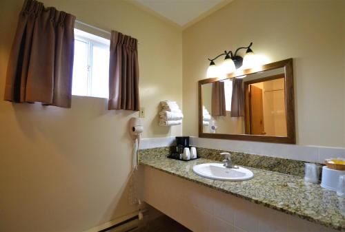 纽马克特纽马基特旅馆的一间带水槽和镜子的浴室