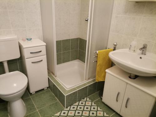 巴拉顿博格拉尔Edina-ház的浴室配有卫生间、盥洗盆和淋浴。