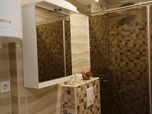 波德戈里察Apartment Mona的设有带镜子和水槽的淋浴的浴室