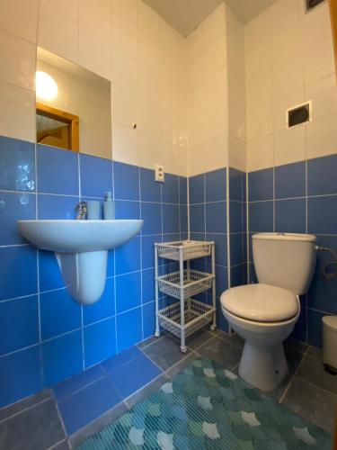 特尔乔夫Penzion pod Brehom的蓝色瓷砖浴室设有卫生间和水槽