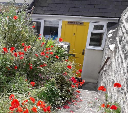 波特兰Sea View Cottage的门前的黄色门和红色花朵