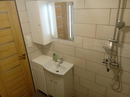 米库洛夫U Hradeb的一间带水槽和镜子的浴室