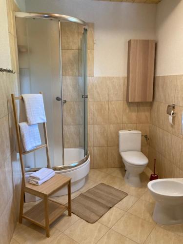 鲁比亚托沃KASZUBSKA CHATA的带淋浴、卫生间和盥洗盆的浴室