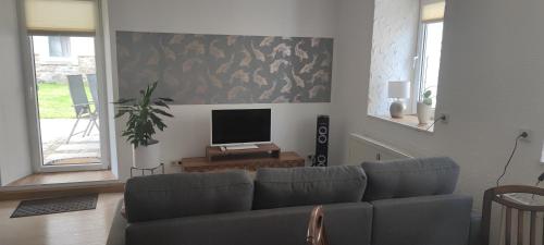 施瓦岑贝格Ferienwohnung Dick Schwarzenberg的带沙发和平面电视的客厅
