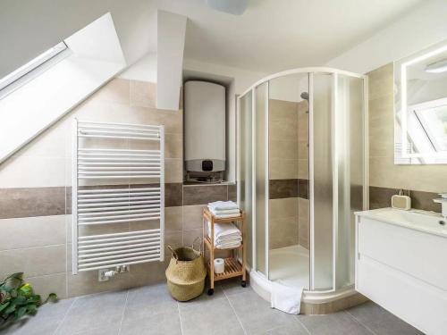 伏尔塔瓦河畔赫卢博卡Apartment Jinghu的带淋浴和盥洗盆的浴室