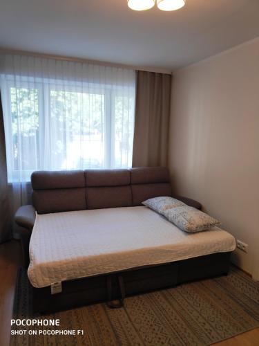 塔林Jakobi Guest Apartment的一张位于配有沙发和窗户的房间的床铺