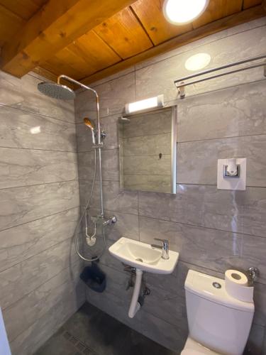 诺维萨德Petrovaradin Chalet的一间带水槽、卫生间和淋浴的浴室