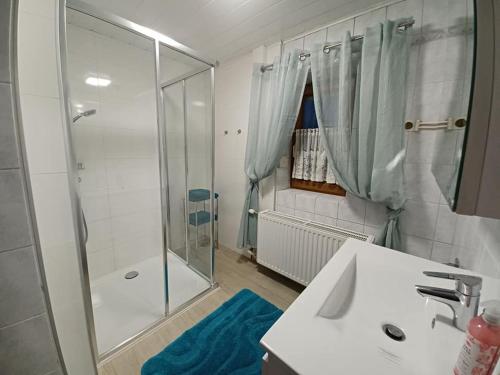 MünzkirchenHortensia 2的带淋浴、盥洗盆和镜子的浴室
