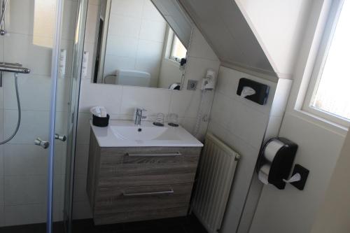 雷讷瑟桔梗餐厅酒店的一间带水槽和淋浴的小浴室