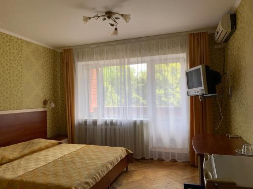 切尔尼戈夫Hotel Prydesnyansky的一间卧室设有一张床和一个带电视的窗户。