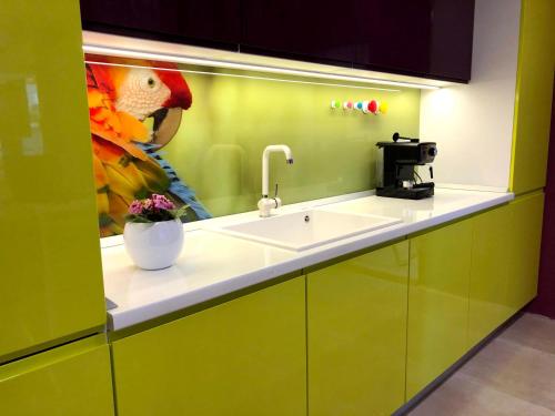 索非亚Ultraviolet relax apart的厨房配有水槽和鹦鹉的照片