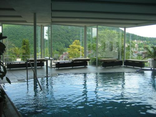 巴登韦勒安娜酒店的一座带窗户的建筑里的一个大型水池