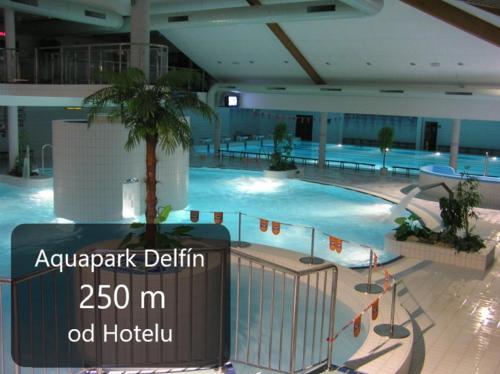 乌赫尔布罗德Hotel U Brány的一座大型游泳池,在一座建筑中种植了棕榈树