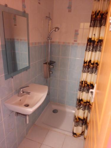 GITE AUBERGE EDELWEISS的一间浴室