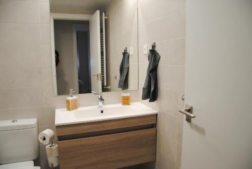 阿尔卡拉德荷那利斯Apartamento Dulcinea的一间带水槽、卫生间和镜子的浴室