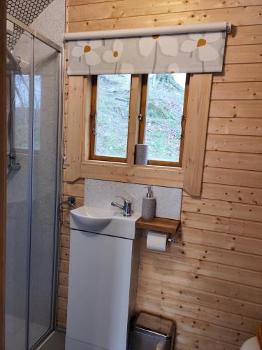 马汉莱斯Tan-y-Dderwen Pod的一间带水槽和淋浴的浴室