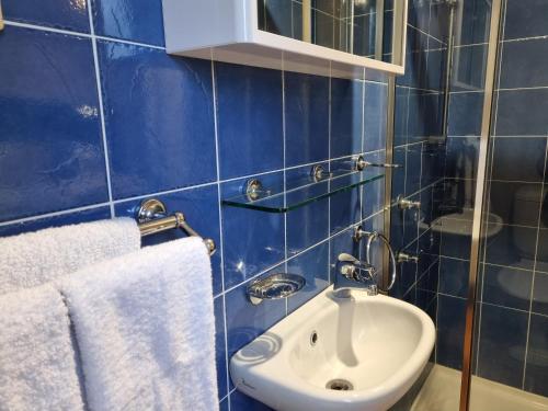 纽卡斯尔Blue Wren Lodge Waratah的蓝色瓷砖浴室设有水槽和镜子
