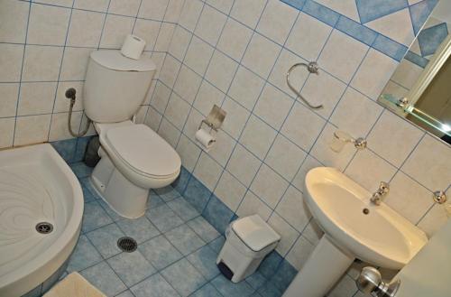 塞奥洛戈斯德尔菲尼住宿加早餐旅馆的一间带卫生间和水槽的浴室