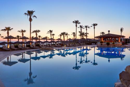 帕福斯Atlantica Golden Beach Hotel - Adults Only的棕榈树度假村的游泳池