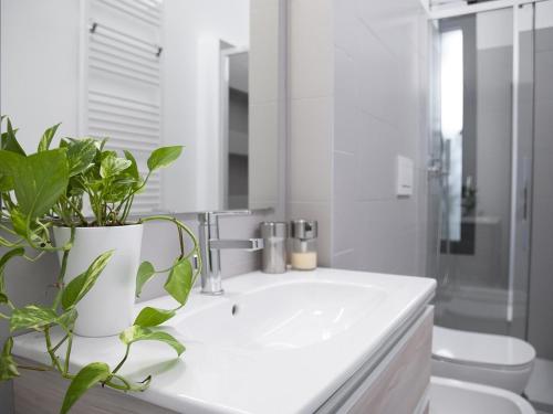 米兰Brand new apartments Ortiquattro的浴室设有白色水槽,上面有植物