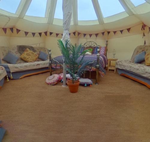 维斯贝希Glamping with Llamas的一间设有两张床和盆栽的房间