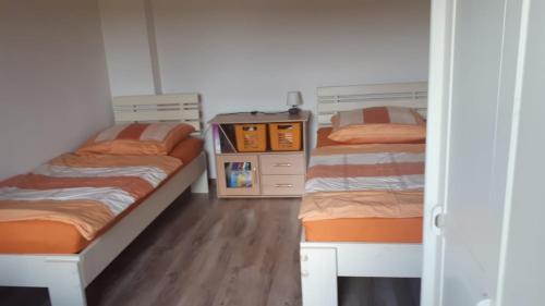 DziałekRanczo的铺有木地板的客房内配有两张双层床。