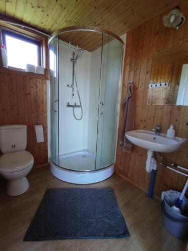 RjúpnavellirRjúpnavellir的带淋浴、卫生间和盥洗盆的浴室