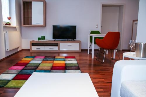 维岑豪森Premium Ferienwohnung Südsonne的客厅配有电视和色彩缤纷的地毯