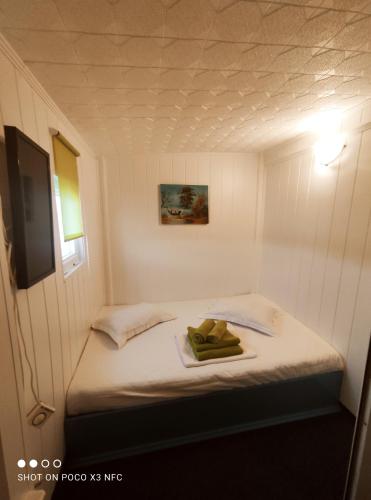 马赫穆迪亚Pontonul lui Cristian的小房间设有床铺和电视