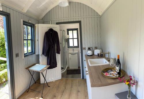 Tower BridgeHolly Hut Shepherds Hut的一个带水槽和柜台的小厨房