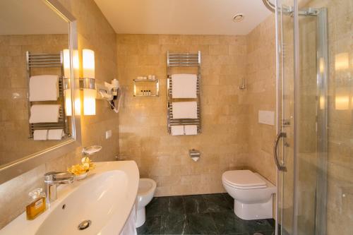 罗马Hotel Santa Costanza by OMNIA hotels的一间带水槽、卫生间和淋浴的浴室