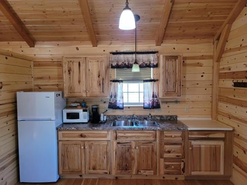 雷德洛治Alpine Lodge的小屋内的厨房配有冰箱和水槽
