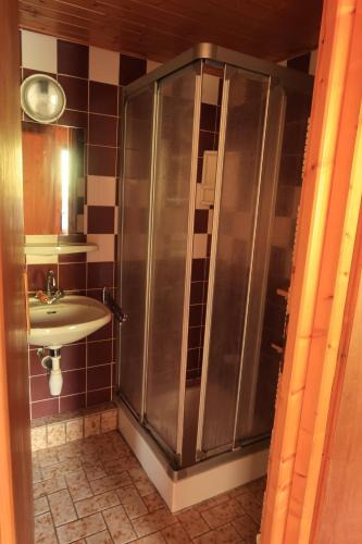 大博尔南LACHAT appartement en chalet typique的带淋浴和盥洗盆的浴室