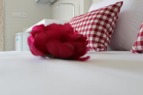 斯塔夫罗斯Anastasia Mare Luxury的一张红色的花,坐在床上,有两个枕头