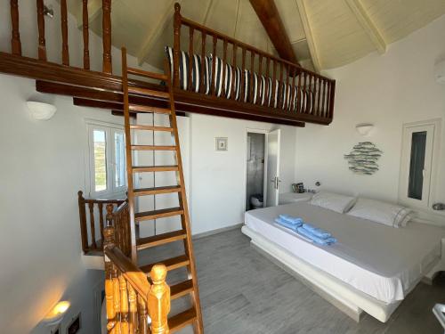 SorosWindmill House Antiparos的一间卧室配有一张双层床和梯子