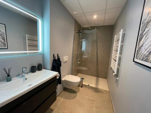 阿克雷里Arctic Loft Apartments的浴室配有卫生间、盥洗盆和淋浴。