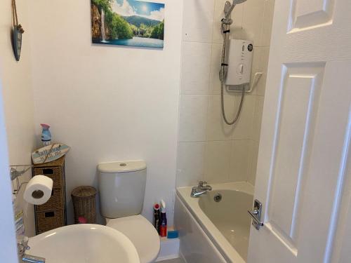 廷特恩Wye View的浴室配有卫生间、浴缸和水槽。